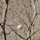 제1전망대 이미지