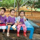 지훈농장 이미지