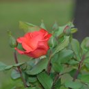 능서초등학교 이미지