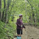 태백에서 영험한 기운을 얻다 이미지