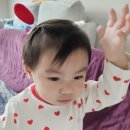 (주)락토메이슨 | [베투키] 돌아기 유산균 아기유기농유산균 추천 베투키 유기농 베베 프로바이오틱스와 비타민D!