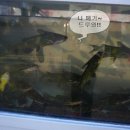 성서서한타운2차 앞 이미지