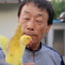 단짝단짝 이미지