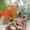 연남동 유럽 감성 꽃 수조가 있는 카페 ‘브래디스’ Bradys coffee