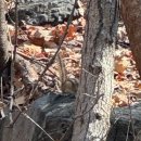 무룡산정상 공중화장실 | 울산 무룡산 쉬운 등산 코스 추천