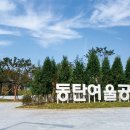 롯데캐슬 앞 횡단보도 이미지