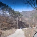 경남 산청 애견동반 가능한 촌캉스 숙소 &#34;풍안펜션&#34;