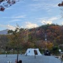 홍이관광주