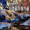 아영골 Daum카페