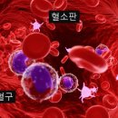 본 힐링하우스 이미지