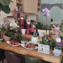 영담한의원 이미지