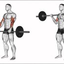 더 바벨 이미지