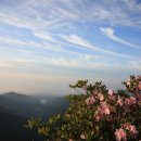 산들한우농장 | 5월 산행지 추천 베스트7 (+방문 후기)