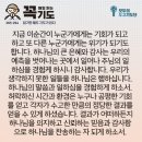 콩깍지 이미지