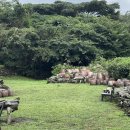 야원목장 이미지