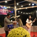 발리동천 이미지