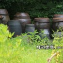 현대시선 밴드 카카오스토리_5월의 선정시_사모(思母)_작사 김기성_작 편곡 수노_영상편집 윤기영 이미지