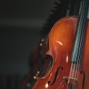 첼로 (행복한 첼로) 이미지