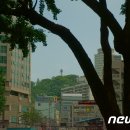 회현동주민자치위원회 뉴스1