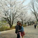 서현중앙길 이미지