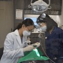 서울좋은생각치과의원 이미지