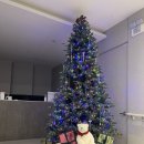 경대돌담병원 이미지