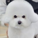 에브리 뽀송 이미지