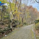두릉산자연휴양림 이미지