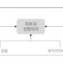 다올투어 이미지