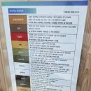 힐링바이오 | 산본 보니또 💛바이오포톤🌸힐링 디톡스 족욕🦶 솔직 후기