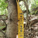 장복산일대 마무리산행(장복산원트랙 종합 본도 함께 올림) 이미지