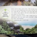 태하등대 | 울릉도 여행 가볼만한곳 일몰맛집 대풍감 태하전망대 트레킹