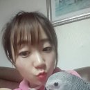 우리집코코 이미지