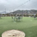 서곡길1 | 원주 판부면 카페 허니포레스트 내돈내산｜시그니처 꿀숲 라떼 솔직 후기