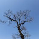 아라메길(도비산) | (서산 여행) 해미읍성 (2012년4월14일)