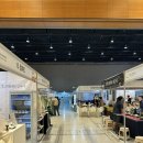 틴지오브소울 유한회사 | 2026 국제차문화대전 코엑스 출근 일기 (1)