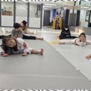 선도 키즈 태권도장 이미지
