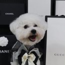 개린이 유치원 이미지