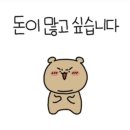Rapees(라피스) 네이버블로그