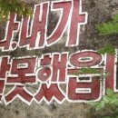 알로하제주 이미지