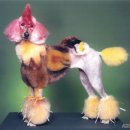 애견세계 이미지