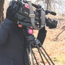 태양천안 태양광발전소 이미지