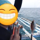 메트로퀵투어