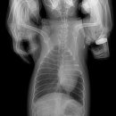 의정부 24시 IU 동물병원 이미지