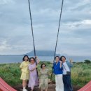 제주도여행친구 | 제주도 카니발 렌트, 친구들과 제주 힐링여행 제대로 즐긴 후기
