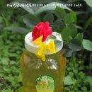 와룡농원 이미지