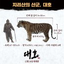 대호