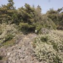 토산2리 이미지