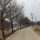 내리5일장 이미지