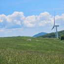 이목목장 | <2>198스냅ㅣ스튜디오 &amp; 대관령 웨딩 스냅 촬영후기(드레스 예복 신발 준비부터 헤어 메이크업, 촬영...